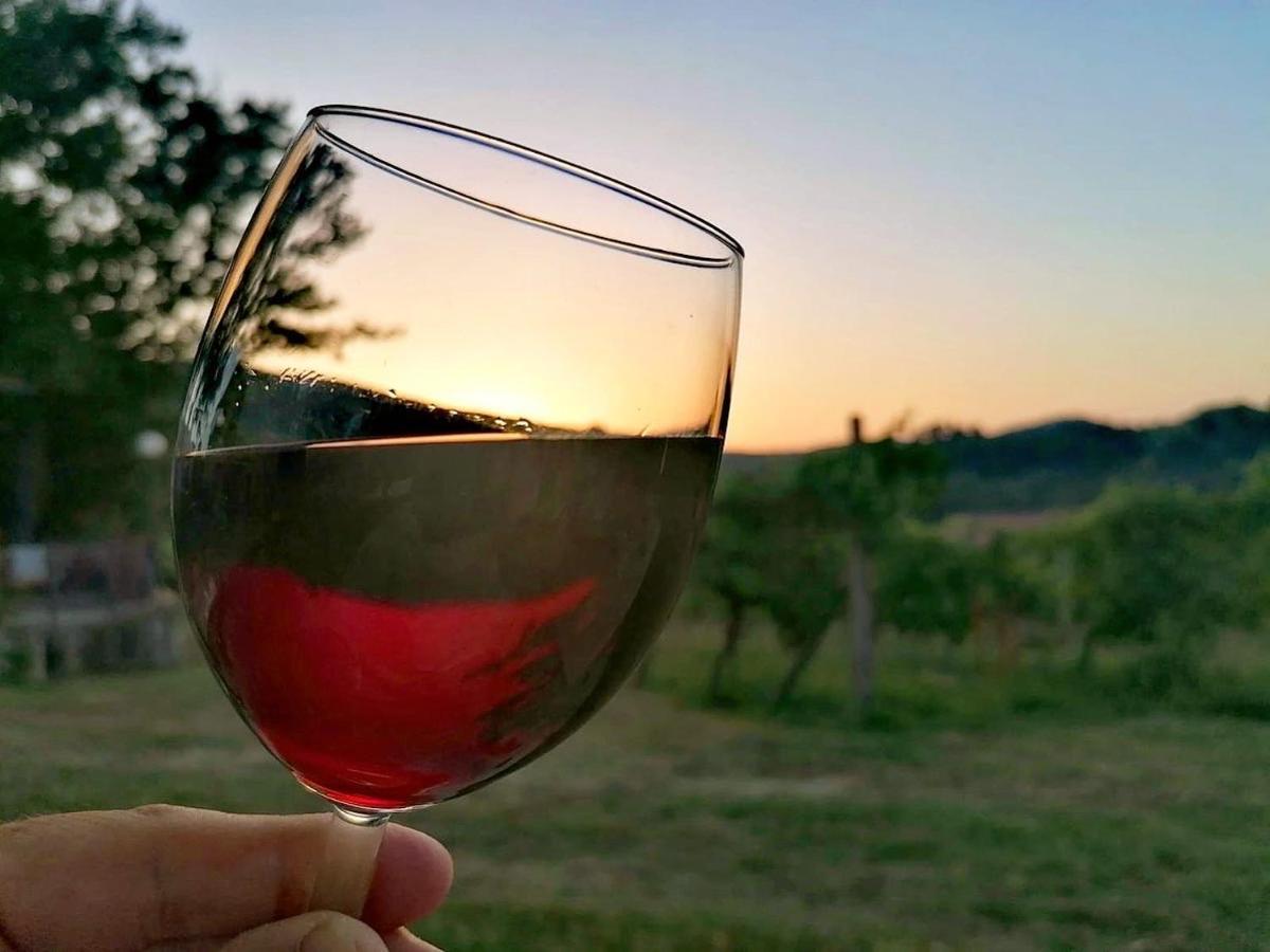 Podere Bellavista San Gimignano Exteriér fotografie