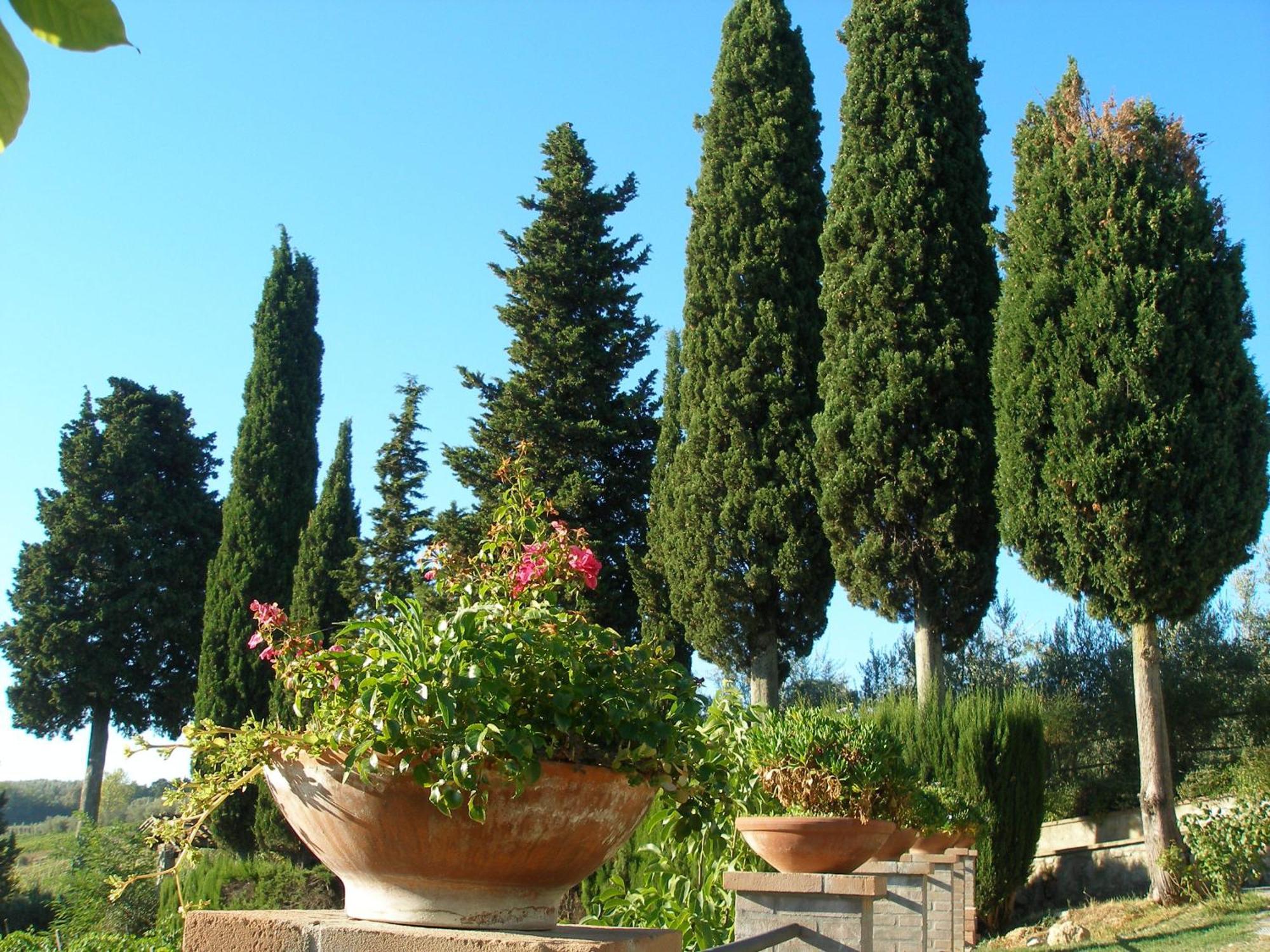 Podere Bellavista San Gimignano Exteriér fotografie