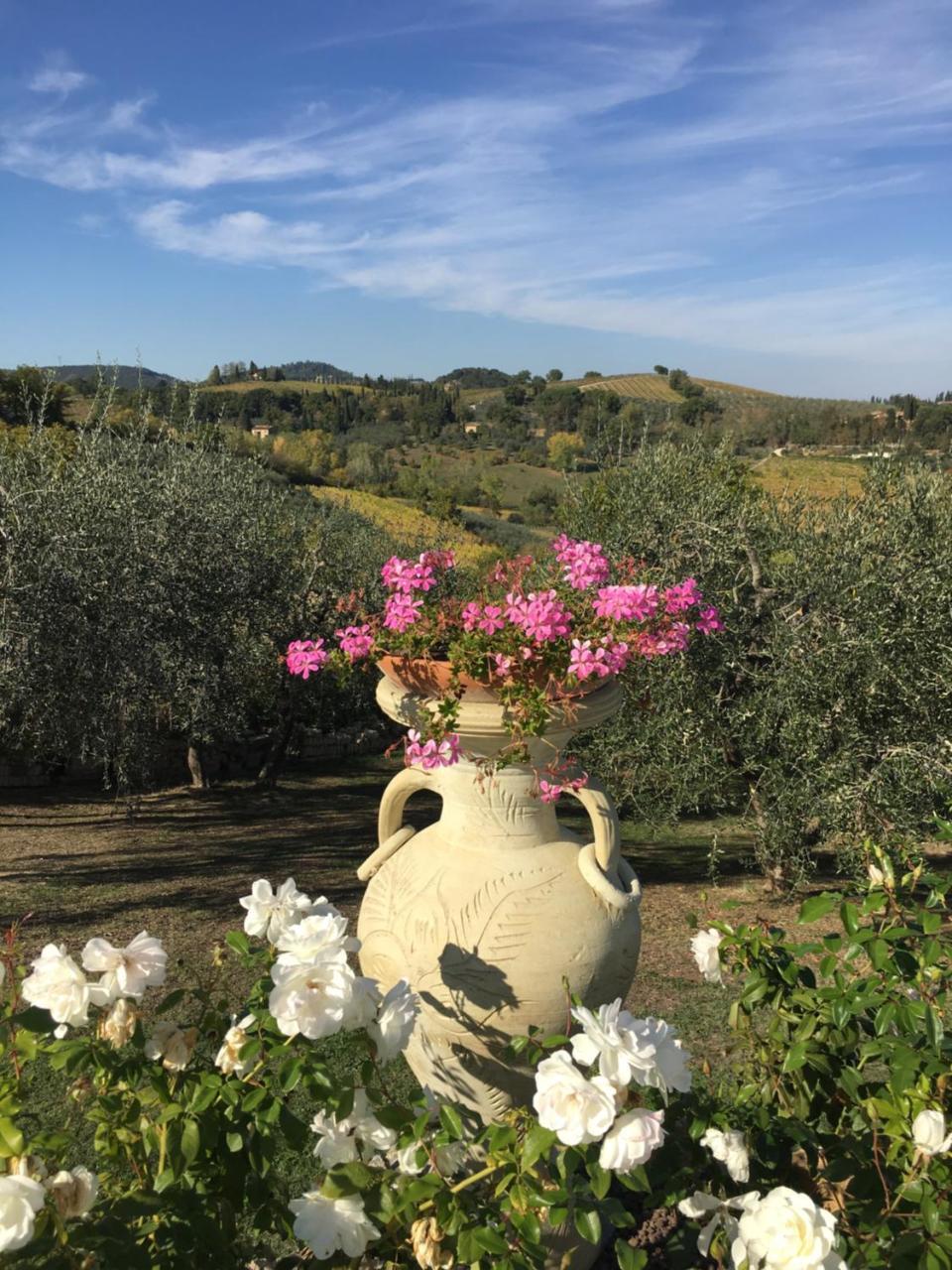 Podere Bellavista San Gimignano Exteriér fotografie