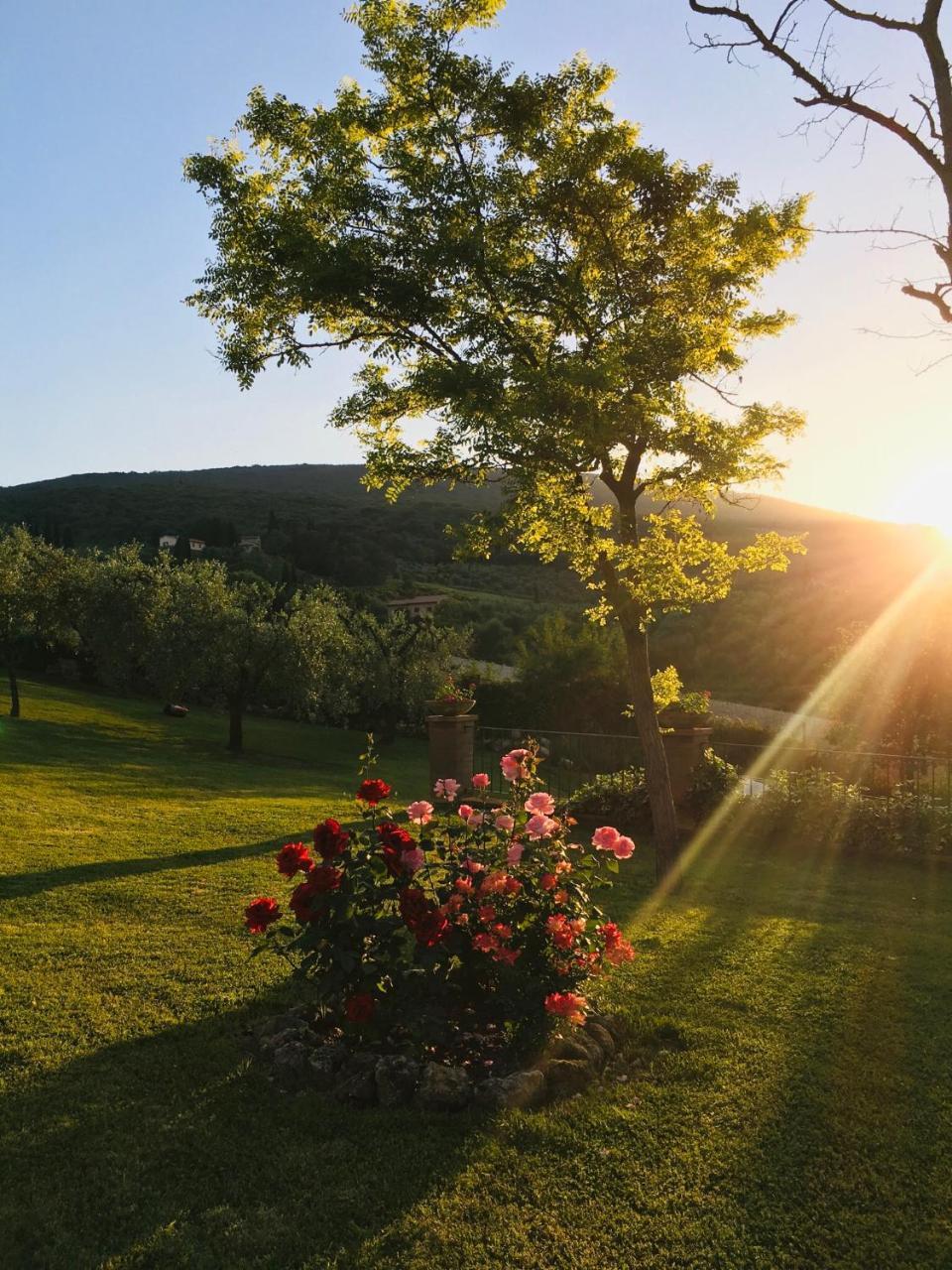 Podere Bellavista San Gimignano Exteriér fotografie