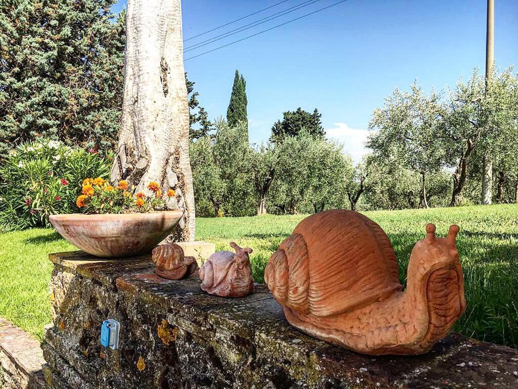 Podere Bellavista San Gimignano Exteriér fotografie
