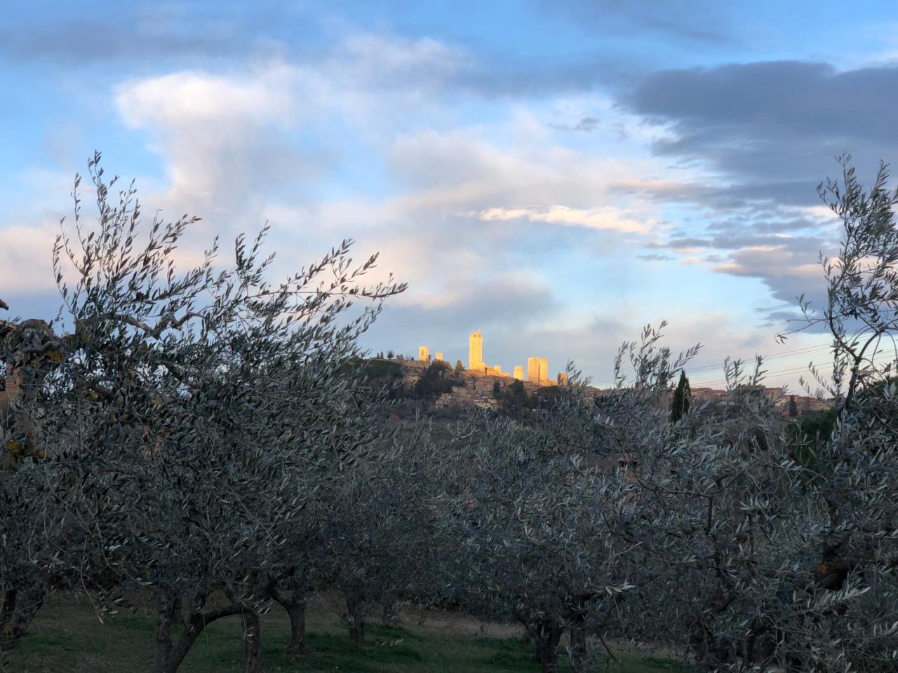 Podere Bellavista San Gimignano Exteriér fotografie