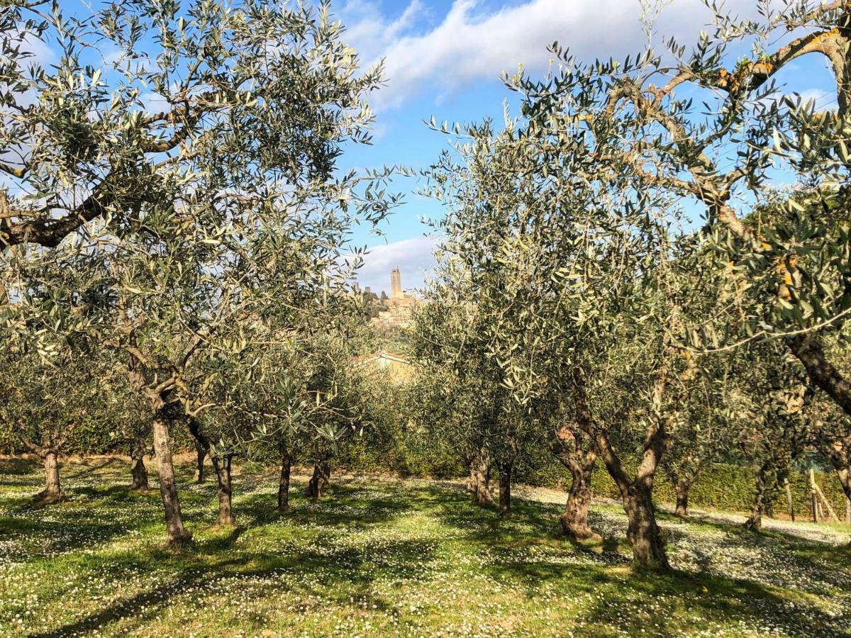 Podere Bellavista San Gimignano Exteriér fotografie