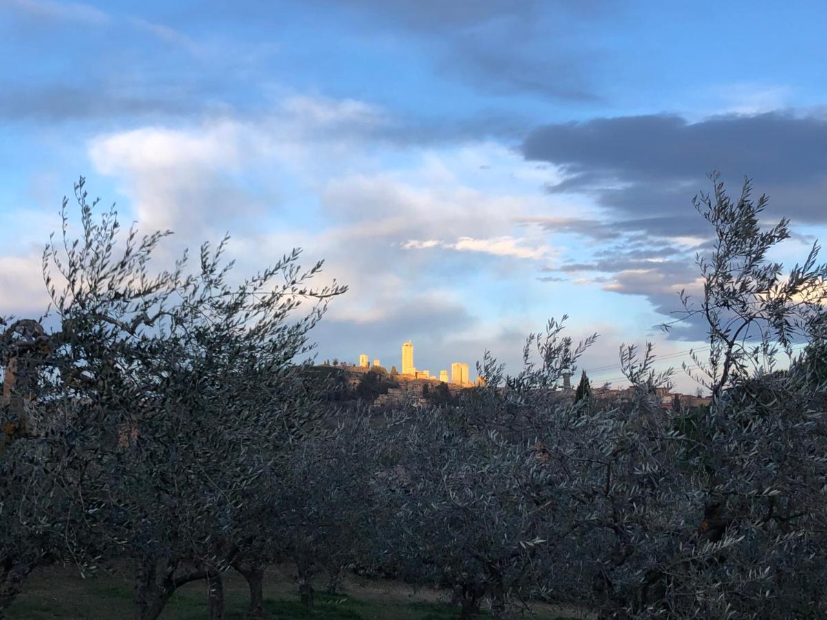 Podere Bellavista San Gimignano Exteriér fotografie